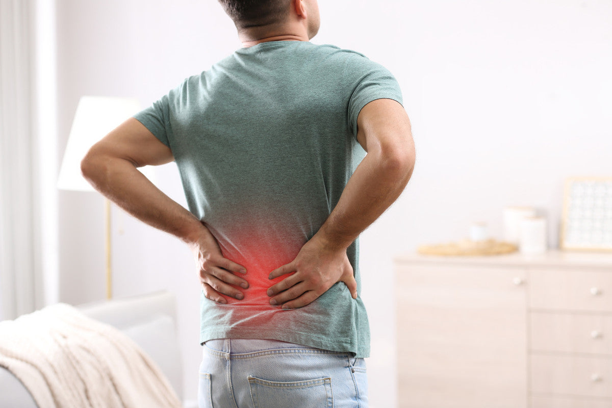 Help Relieve Sciatica Symptoms with These Foods - The Outback Series